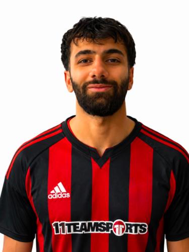 Alan Ali
