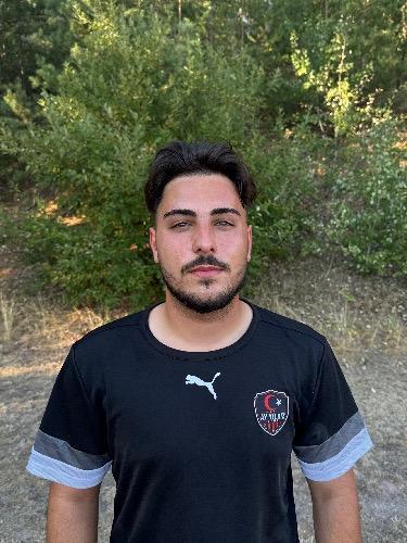 Gabriel-Manuel Stan