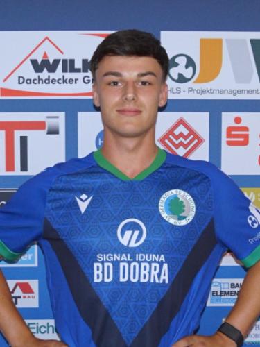 Lion Dobra