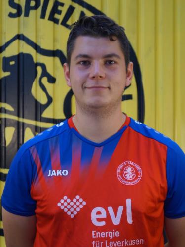 Nico Landwehr