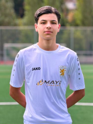 Hakim Aidi