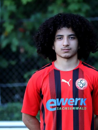 Amir Ali Hassani