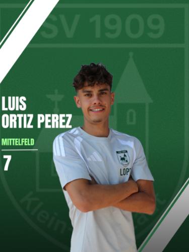Luis Ortiz Perez