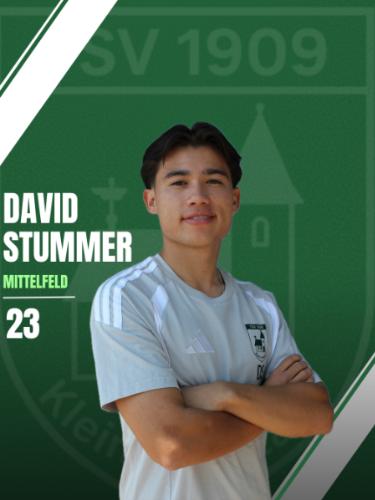 David Stummer