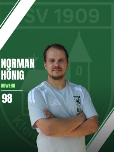 Norman Hoenig