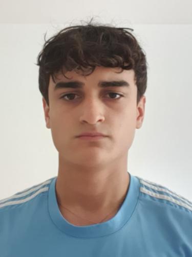 Gianluca Regazzoni