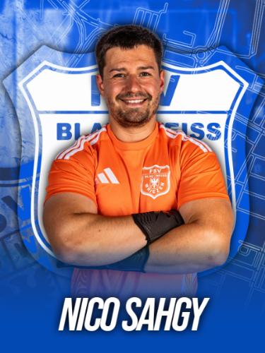 Nico Saghy
