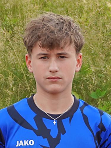 Max Hermann Ams