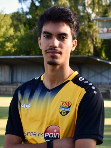 Almahdi Alhendi