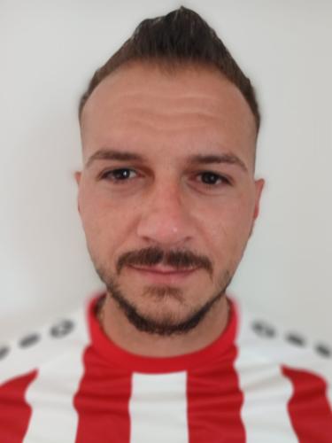 Raul Mihai Catalin Nicolescu