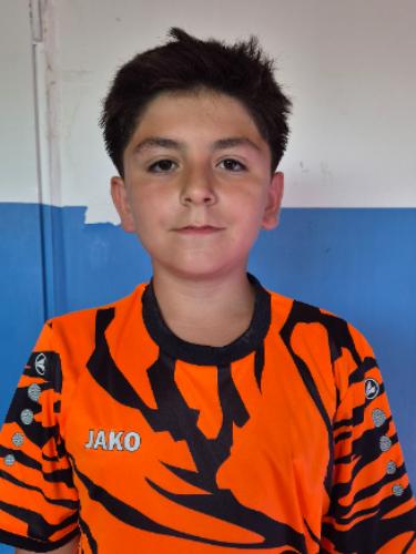 Babür Demir