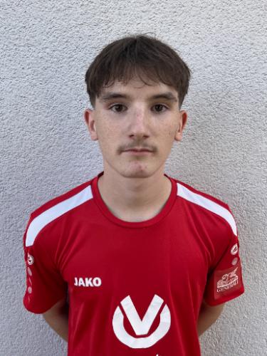 Dzenan Ramoviq