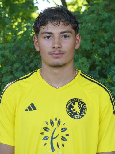 Lio Tiam Hafner