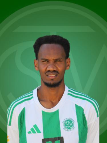 Saed Romodan