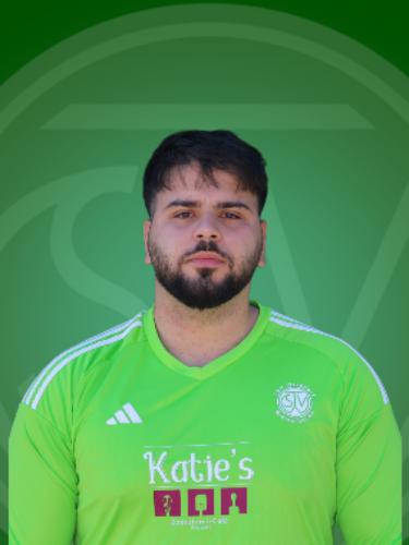 Deniz-Aslan Arslanpay