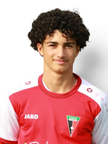 Ianis David Vasilescu