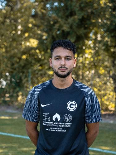 Ali Mahmoud