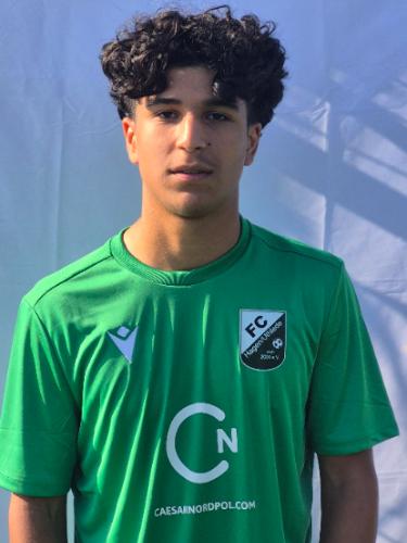 Artin Nouri