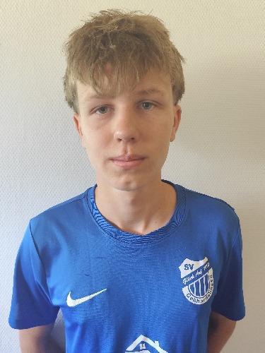 Leevi Wille