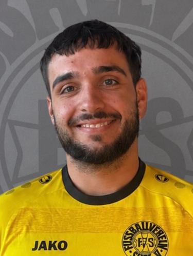 Manuel Gänshirt