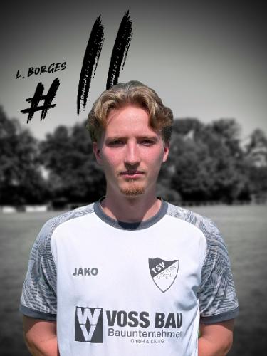 Linus Borges
