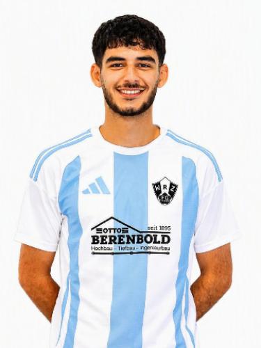 Mahmoud Al Mtheb