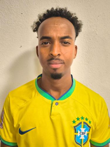 Sadik Hassan Mohamed Ali