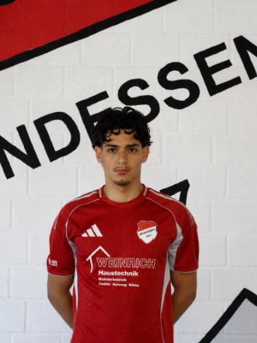 Fadi Alhamidieh