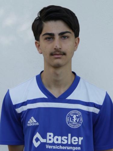 Samyar Sultani