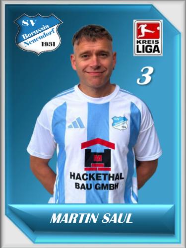 Martin Saul