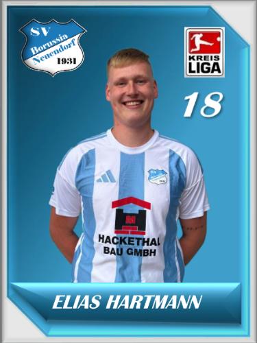 Elias Hartmann