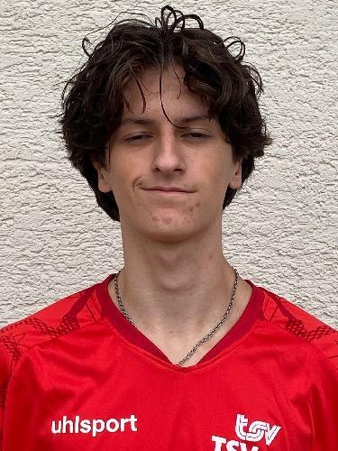 Luca Banihashemi