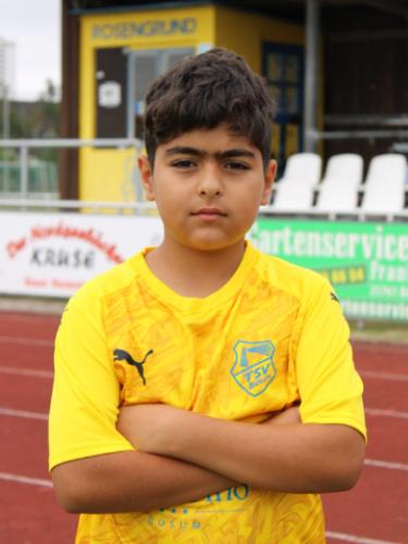 Hesam Mohammadi
