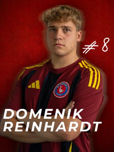 Domenik Reinhardt