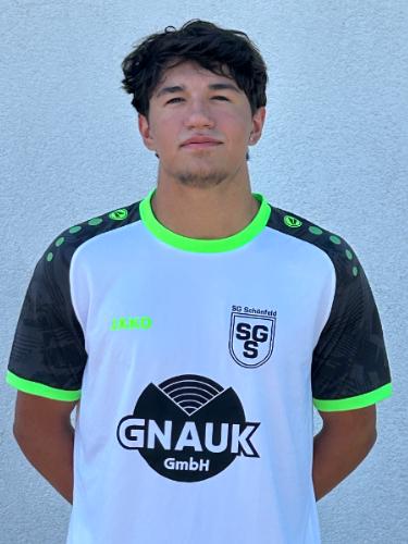 Xavier Enrique Araque Orjuela