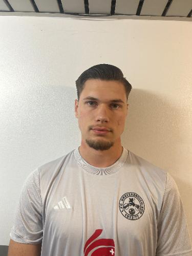 Almin Hamidovic