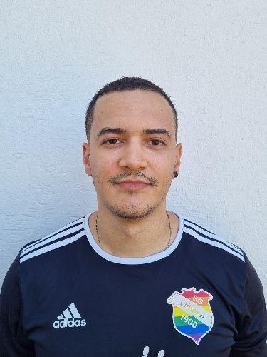 Vincius Araujo Costa