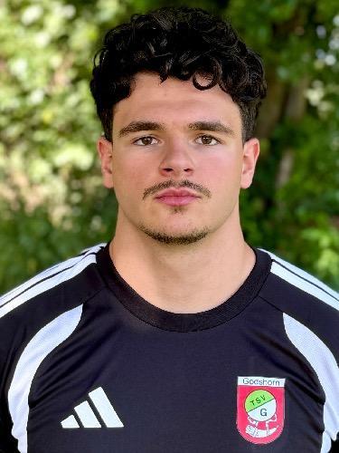 Taylan Satilmis