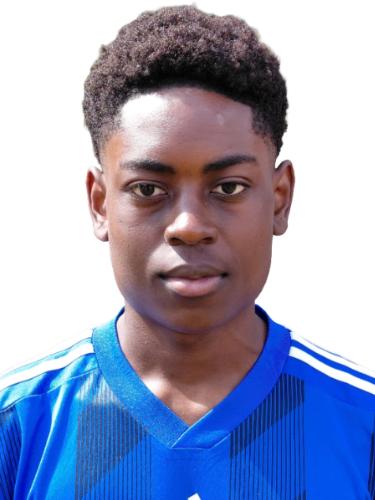 Miguel Stanis Tchamani Djientcheu