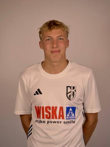 Henrik Wulf