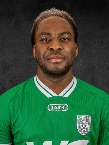 Oluwasegun Victor Adelusi