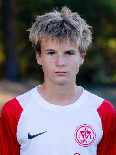 Niklas Johann Jung