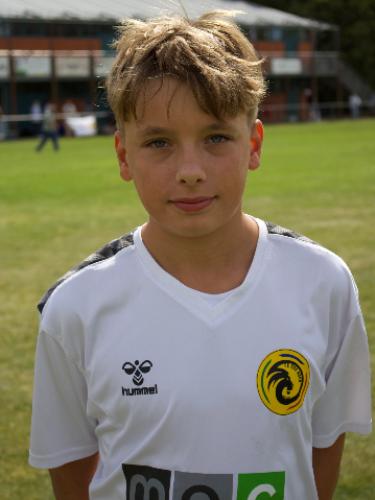 Emil Luis Urban