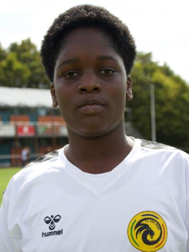 Noel Boatemaa