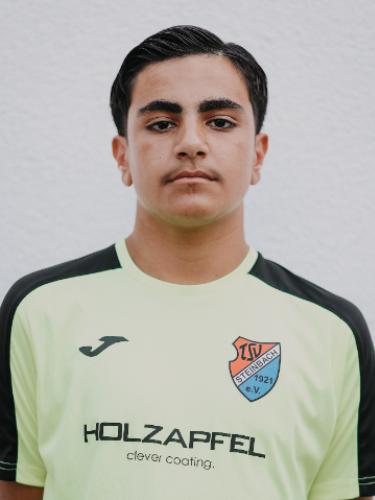 Ali Efe Danisman