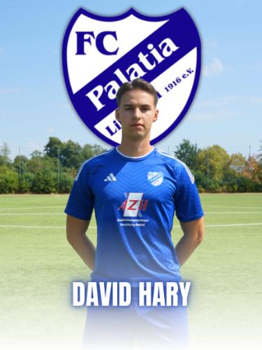 David Hary