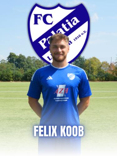 Felix Koob