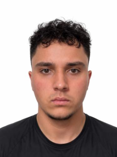 Roman Kamyshev