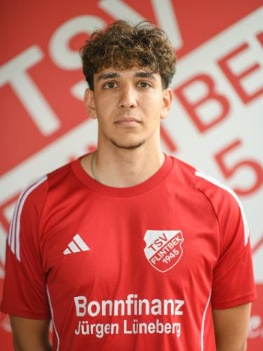 Levent Ögmen