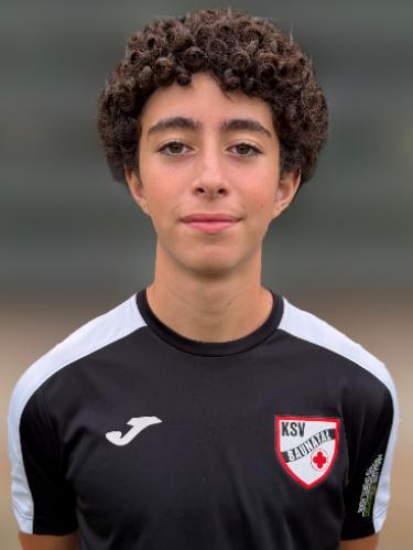 Talha Hamedi
